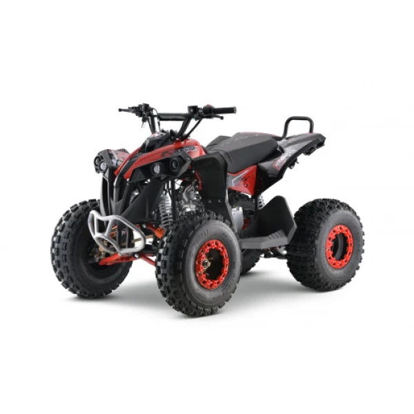 Дитячий квадроцикл на пальне Ramiz RENEGADE HighPer 125CC