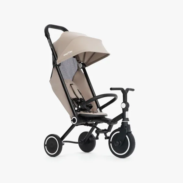 Трехколесный велосипед Smart Trike Wonder Max