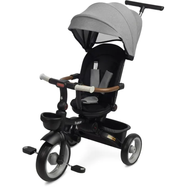Детский трехколесный велосипед Caretero (Toyz) SABER