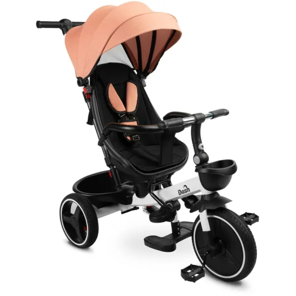Детский трехколесный велосипед Caretero (Toyz) Dash