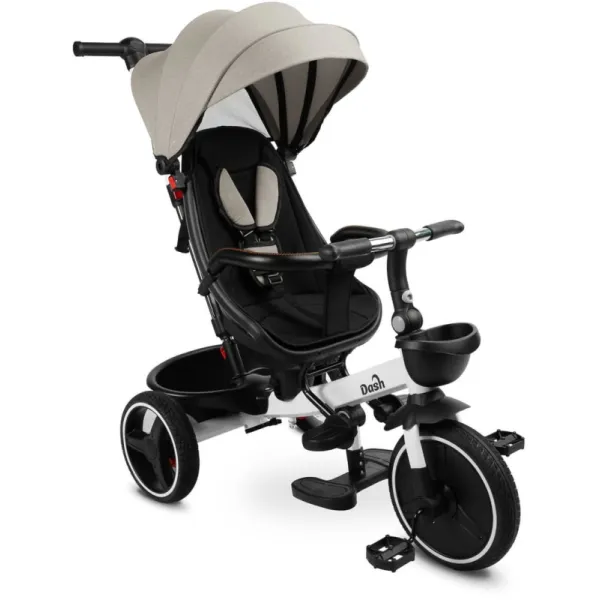 Детский трехколесный велосипед Caretero (Toyz) Dash