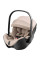 Автокресло BRITAX-ROMER BABY-SAFE PRO Style Teak