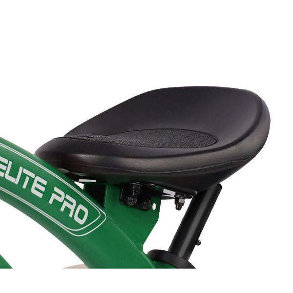 Триколісний велосипед Qplay Elite Pro