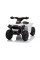 Детский квадроцикл LEANToys XH116