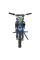 Детский электробайк Ramiz RENEGADE 50R