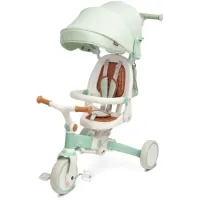 Детский трехколесный велосипед Caretero (Toyz) FARO