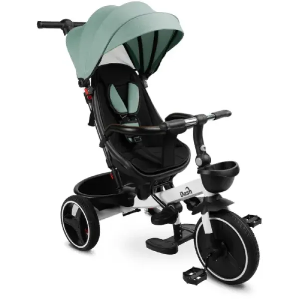 Детский трехколесный велосипед Caretero (Toyz) Dash