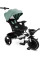 Детский трехколесный велосипед Caretero (Toyz) Dash