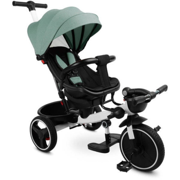 Детский трехколесный велосипед Caretero (Toyz) Dash