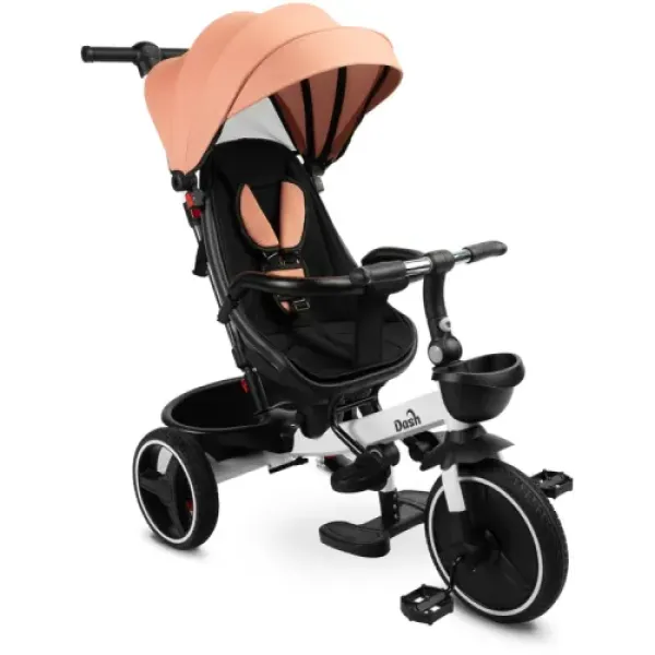 Детский трехколесный велосипед Caretero (Toyz) Dash