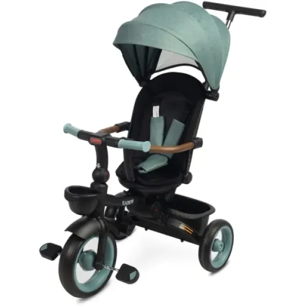 Детский трехколесный велосипед Caretero (Toyz) SABER