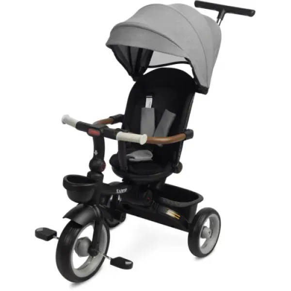 Детский трехколесный велосипед Caretero (Toyz) SABER
