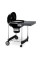 Садовый гриль WEBER Performer GBS 57cm 15301004