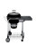 Садовый гриль WEBER Performer GBS 57cm 15301004