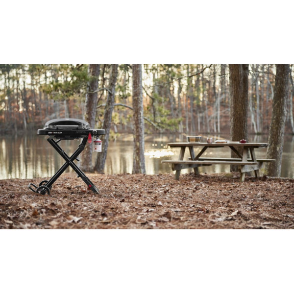 Садовый гриль WEBER 1500527 Traveler Compact