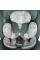 Автокрісло Cosatto Acorn All Stages i-Size + база  Family