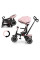 Трехколесный велосипед Milly Mally Stanley Rubber New