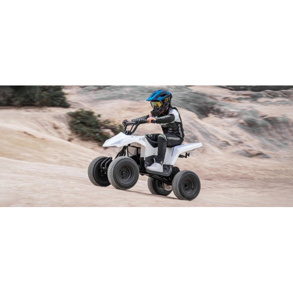 Дитячий квадроцикл Hyper Gogo Quad C12