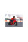 Детский трехколесный электробайк Pep Perego DUCATI DESMOSEDICI EVO 6V