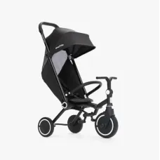 Трехколесный велосипед Smart Trike Wonder Max