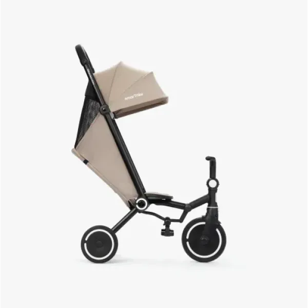 Трехколесный велосипед Smart Trike Wonder Max