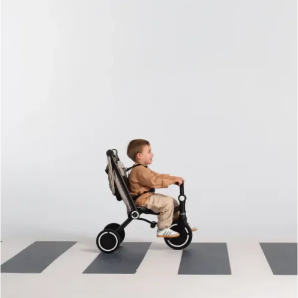 Трехколесный велосипед Smart Trike Wonder Max