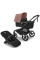 Коляска 2в1 Bugaboo Fox 5 Renew Black / Dusty Pink