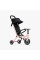 Триколісний велосипед Smart Trike Wind