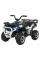 Детский квадроцикл Ramiz Quad ATV Robust 01