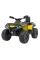 Детский квадроцикл Ramiz Quad Can Am Outlander ATV 24V
