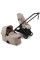 Коляска 2в1 Bugaboo Dragonfly Plus