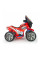 Квадроцикл INJUSA Wrestler 6V