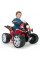 Квадроцикл INJUSA Quad The Beast 12V