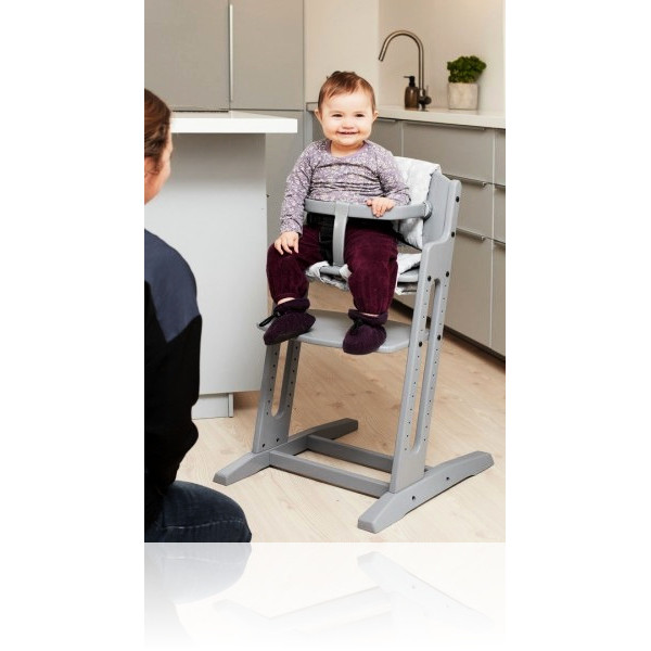 Стульчик для кормления Baby Dan Danchair