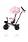 Триколісний велосипед Kinderkraft AVEO