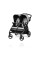 Прогулочная коляска для близнецов Peg-Perego Book For Two 2020 года