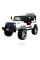 Электромобиль RAMIZ NEW Raptor DRIFTER 4x4 12v