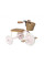 Триколісний велосипед Banwood Trike