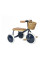 Триколісний велосипед Banwood Trike