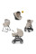 Коляска 3в1 Inglesina APTICA QUATTRO DARWIN