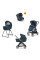 Коляска 3в1 Inglesina ELECTA System Quattro DARWIN