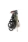 Прогулянкова коляска Peg Perego VELOCE