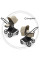 Коляска 2в1 Bugaboo Fox Cub