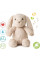 Музикальна іграшка Cloud b LoveLight Buddies Billy Bunny