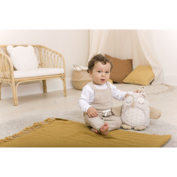 Музикальна іграшка Cloud b Nighty Night Owl Smart Sensor