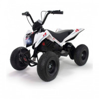 Квадроцикл INJUSA X-Treme Dirt