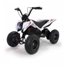 Квадроцикл INJUSA X-Treme Dirt