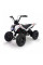 Квадроцикл INJUSA X-Treme Dirt