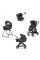 Коляска 3в1 Inglesina ELECTA QUATTRO DARWIN RECLINE