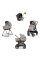 Коляска 3в1 Inglesina APTICA XT QUATTRO DARWIN RECLINE